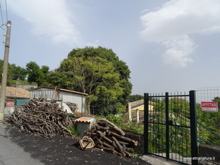 Acero di Caselle